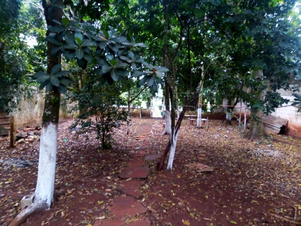 Comprar Rural / Rancho em Jardin&oacute;polis R$ 360.000,00 - Foto 6