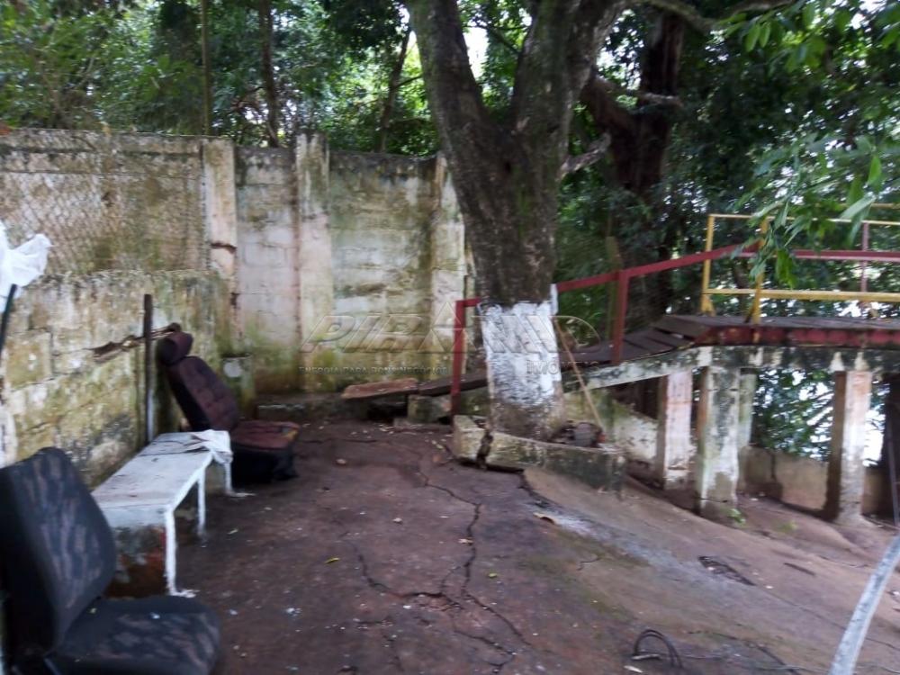 Comprar Rural / Rancho em Jardin&oacute;polis R$ 360.000,00 - Foto 7