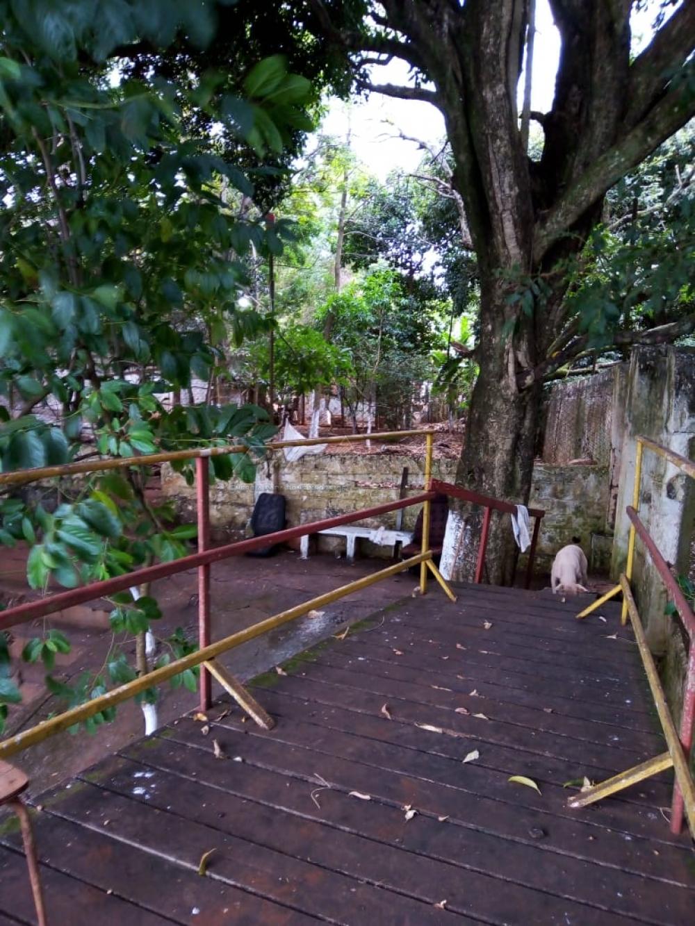 Comprar Rural / Rancho em Jardin&oacute;polis R$ 360.000,00 - Foto 8