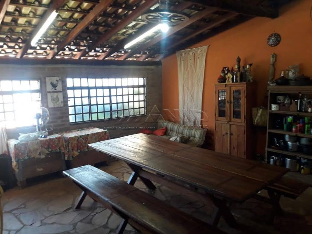 Comprar Rural / Ch&aacute;cara em Jardin&oacute;polis R$ 1.000.000,00 - Foto 4
