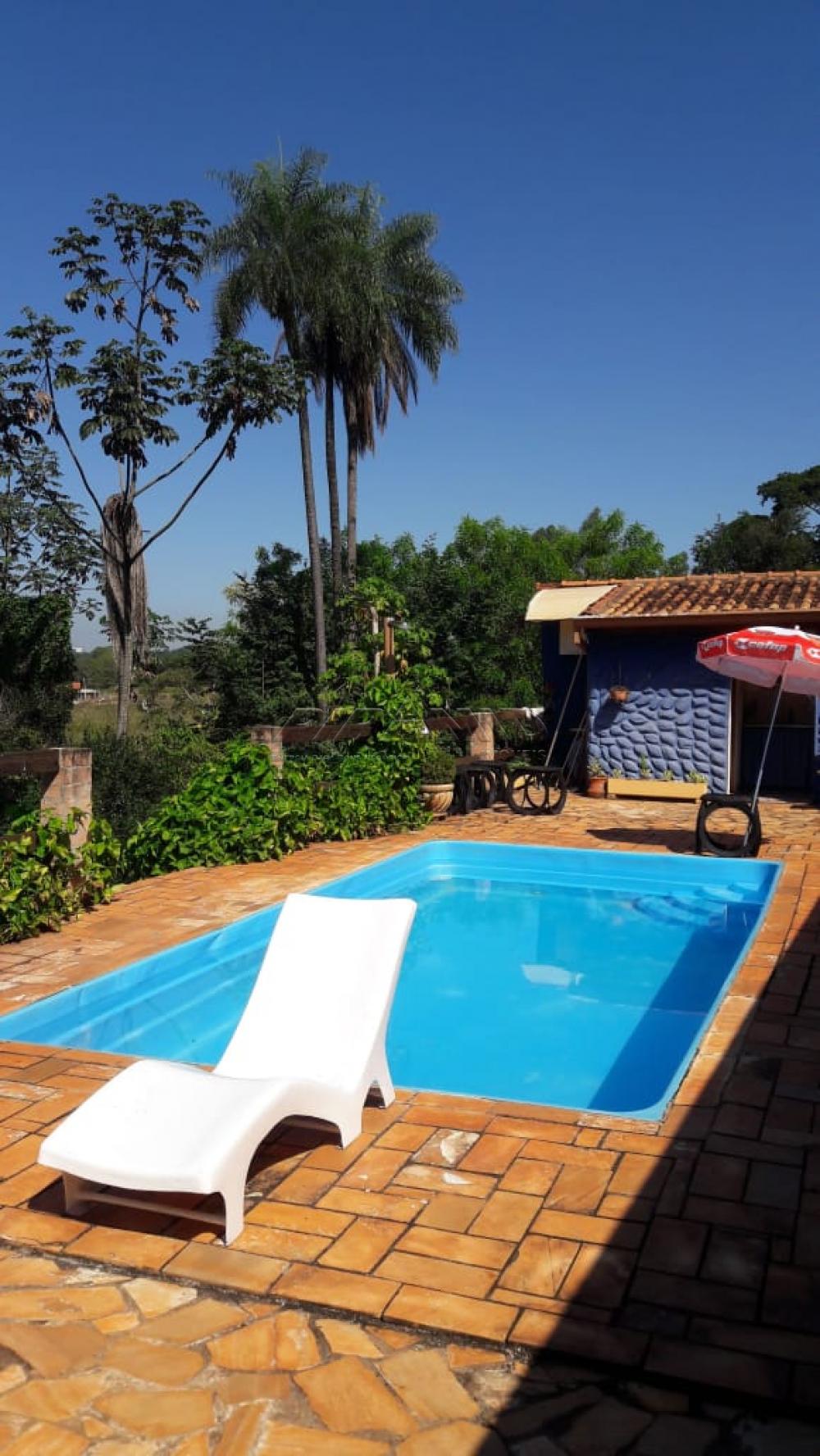 Comprar Rural / Ch&aacute;cara em Jardin&oacute;polis R$ 1.000.000,00 - Foto 7