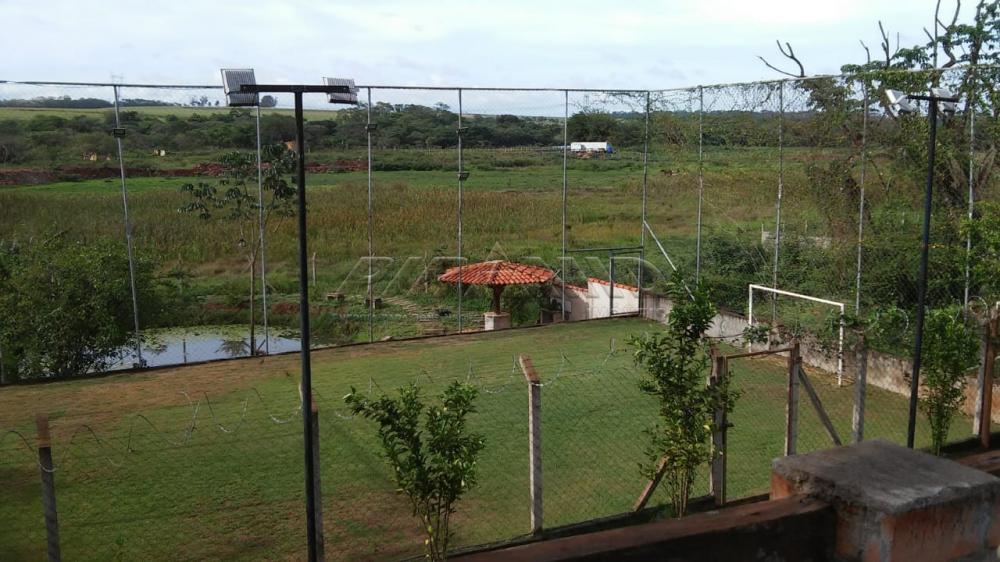 Comprar Rural / Ch&aacute;cara em Jardin&oacute;polis R$ 1.000.000,00 - Foto 8