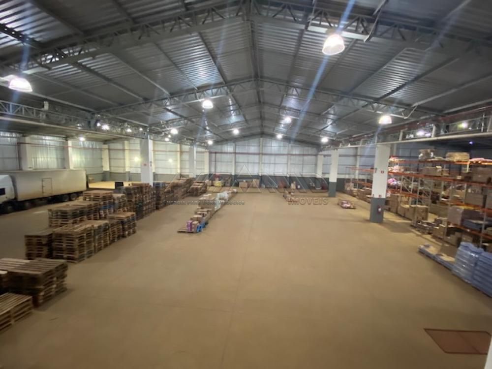 Alugar Comercial / Galp&atilde;o  Barrac&atilde;o em Jardin&oacute;polis R$ 27.000,00 - Foto 4