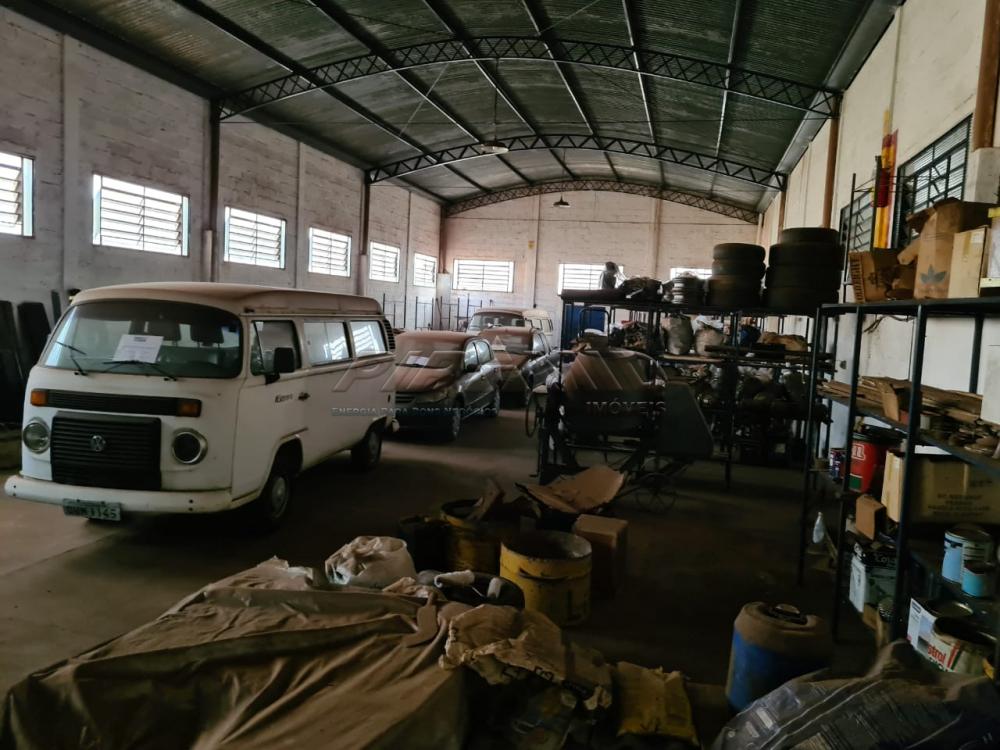 Comprar Comercial / Galp&atilde;o  Barrac&atilde;o em Ribeir&atilde;o Preto R$ 6.400.000,00 - Foto 16
