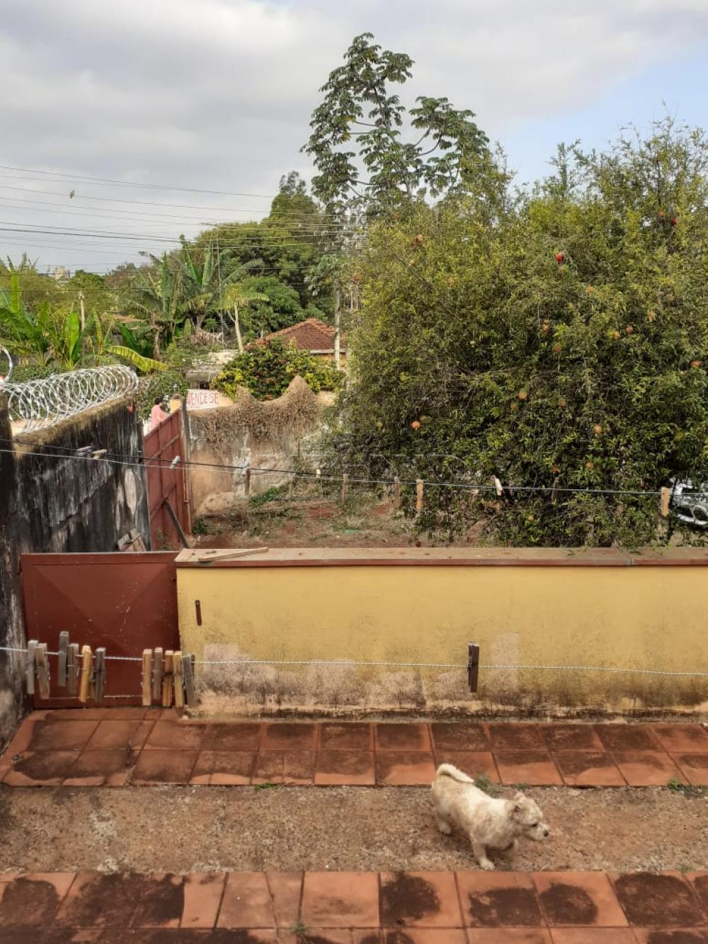 Comprar Terreno / Terreno em Ribeir&atilde;o Preto R$ 700.000,00 - Foto 14
