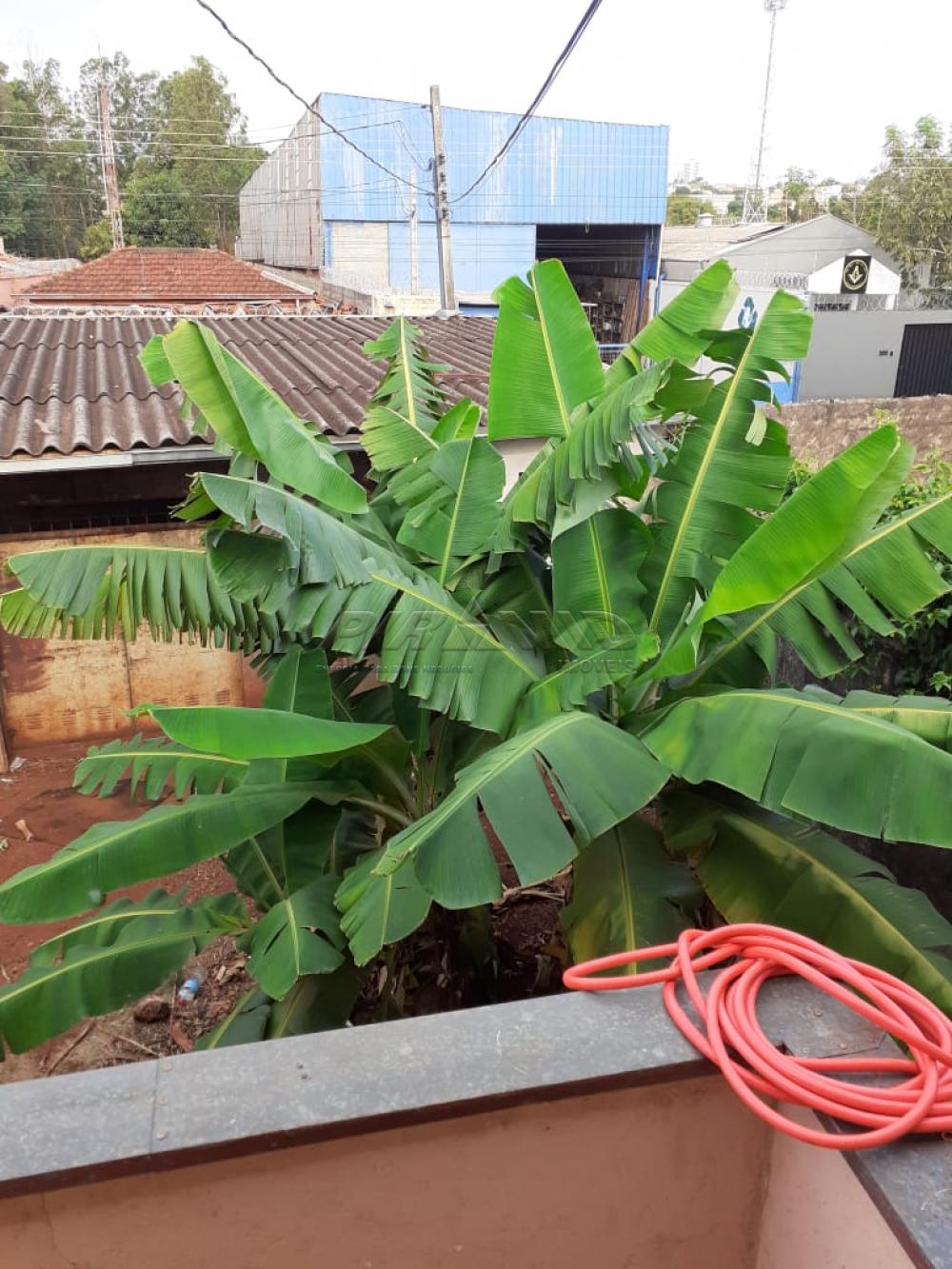 Comprar Terreno / Terreno em Ribeir&atilde;o Preto R$ 700.000,00 - Foto 15