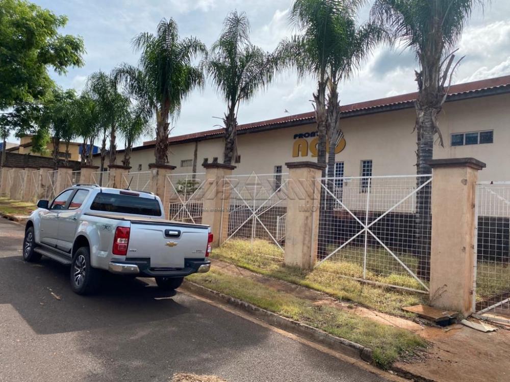 Alugar Comercial / Galp&atilde;o  Barrac&atilde;o em Ribeir&atilde;o Preto R$ 25.000,00 - Foto 5