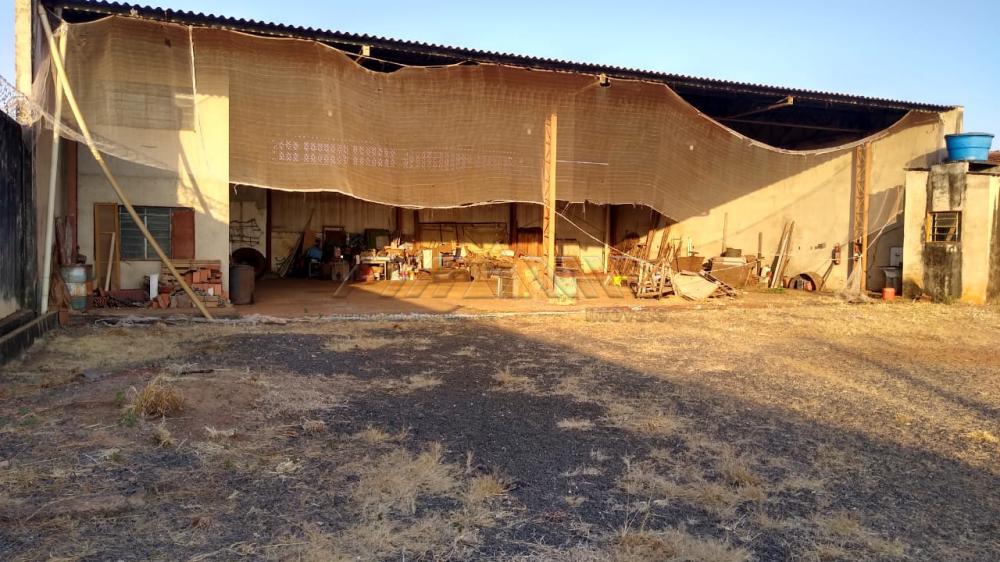 Alugar Comercial / Galp&atilde;o  Barrac&atilde;o em Ribeir&atilde;o Preto R$ 6.800,00 - Foto 6