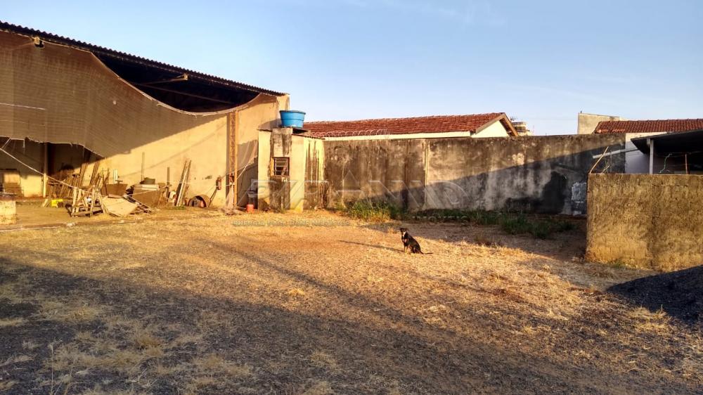 Alugar Comercial / Galp&atilde;o  Barrac&atilde;o em Ribeir&atilde;o Preto R$ 6.800,00 - Foto 7