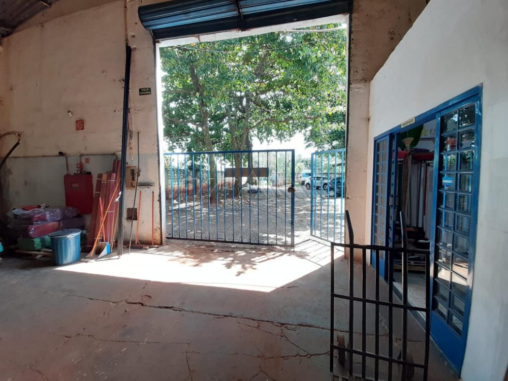 Alugar Comercial / Galp&atilde;o  Barrac&atilde;o em Ribeir&atilde;o Preto R$ 1.700,00 - Foto 8