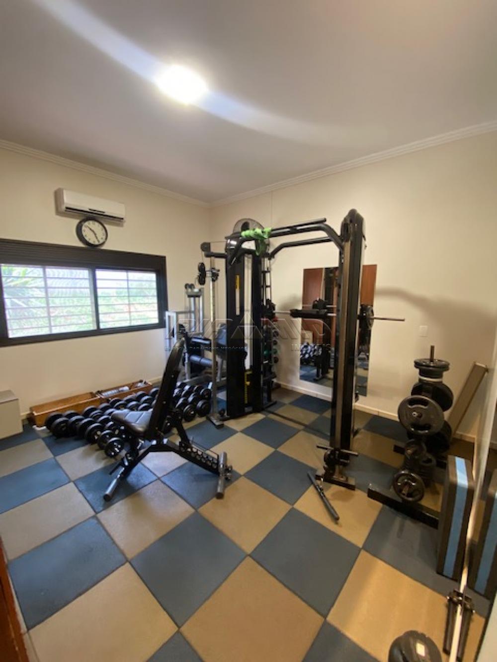 Alugar Casa / Padr&atilde;o em Ribeir&atilde;o Preto R$ 11.000,00 - Foto 18