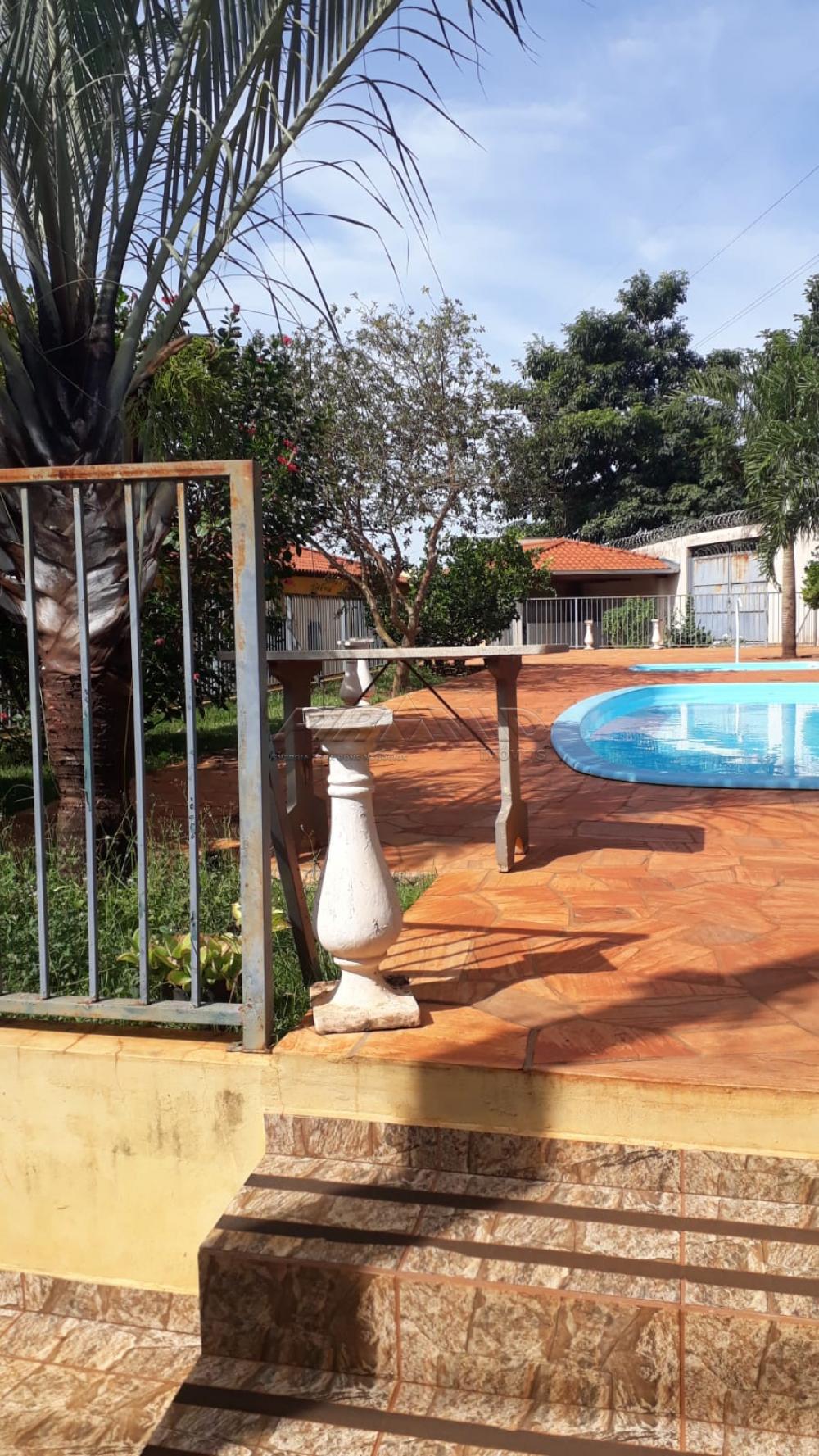 Comprar Casa / Padr&atilde;o em Jardin&oacute;polis R$ 615.000,00 - Foto 16