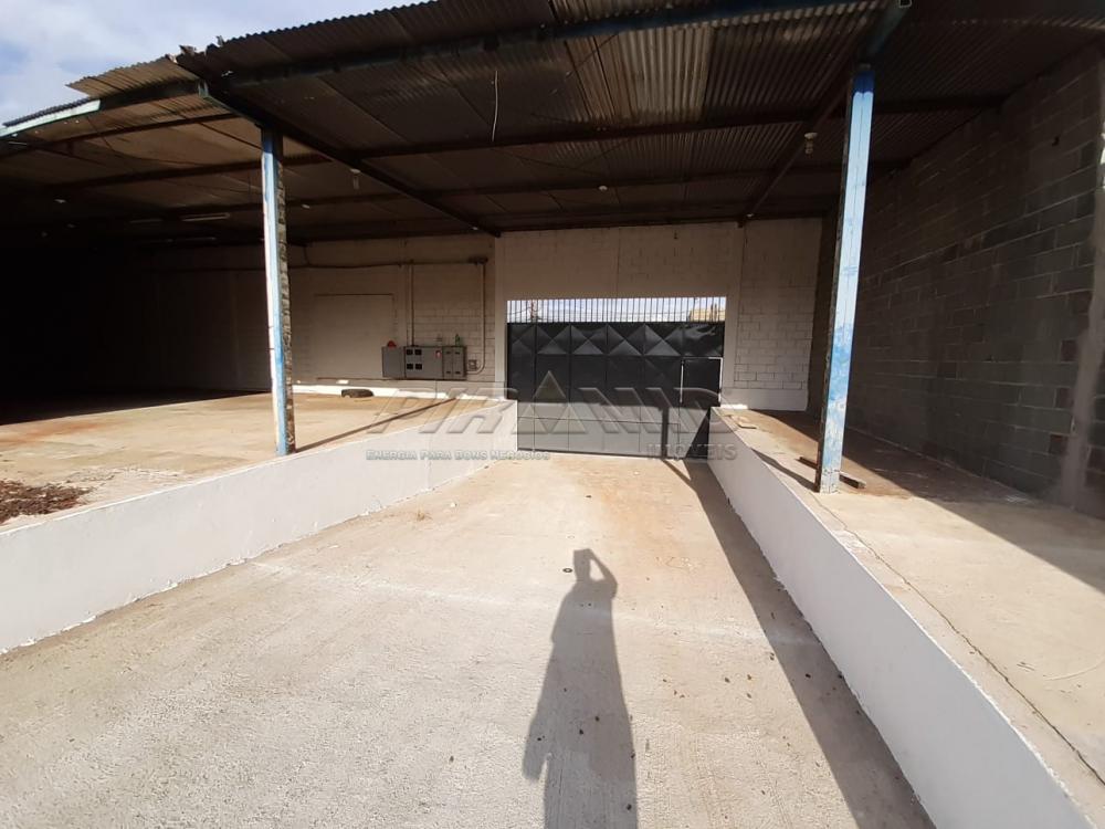 Alugar Comercial / Galp&atilde;o  Barrac&atilde;o em Ribeir&atilde;o Preto R$ 13.000,00 - Foto 2