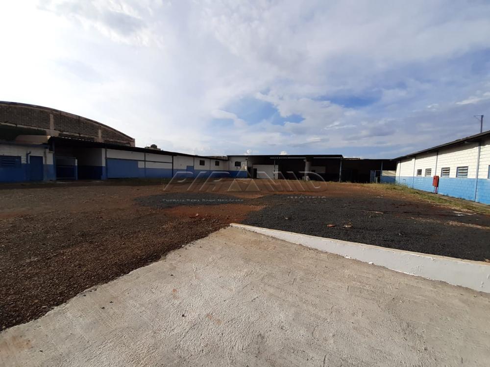 Alugar Comercial / Galp&atilde;o  Barrac&atilde;o em Ribeir&atilde;o Preto R$ 13.000,00 - Foto 5