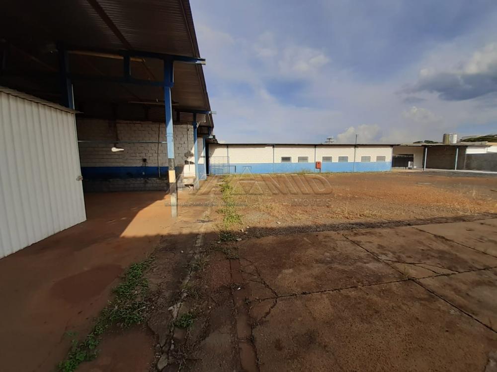 Alugar Comercial / Galp&atilde;o  Barrac&atilde;o em Ribeir&atilde;o Preto R$ 13.000,00 - Foto 21