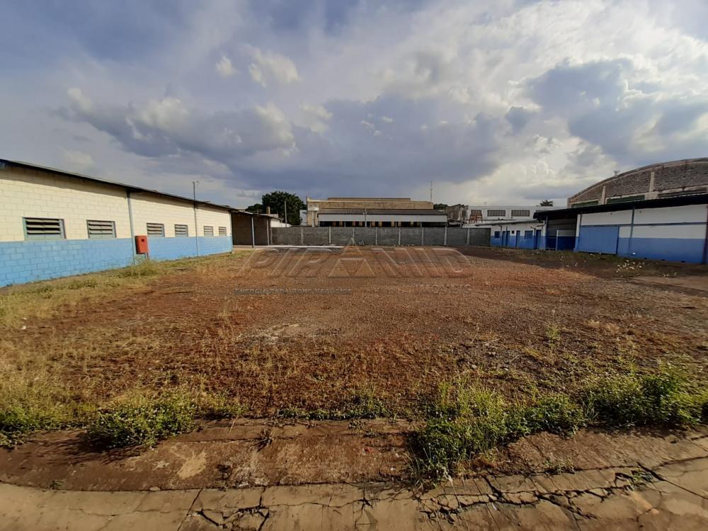 Alugar Comercial / Galp&atilde;o  Barrac&atilde;o em Ribeir&atilde;o Preto R$ 13.000,00 - Foto 30