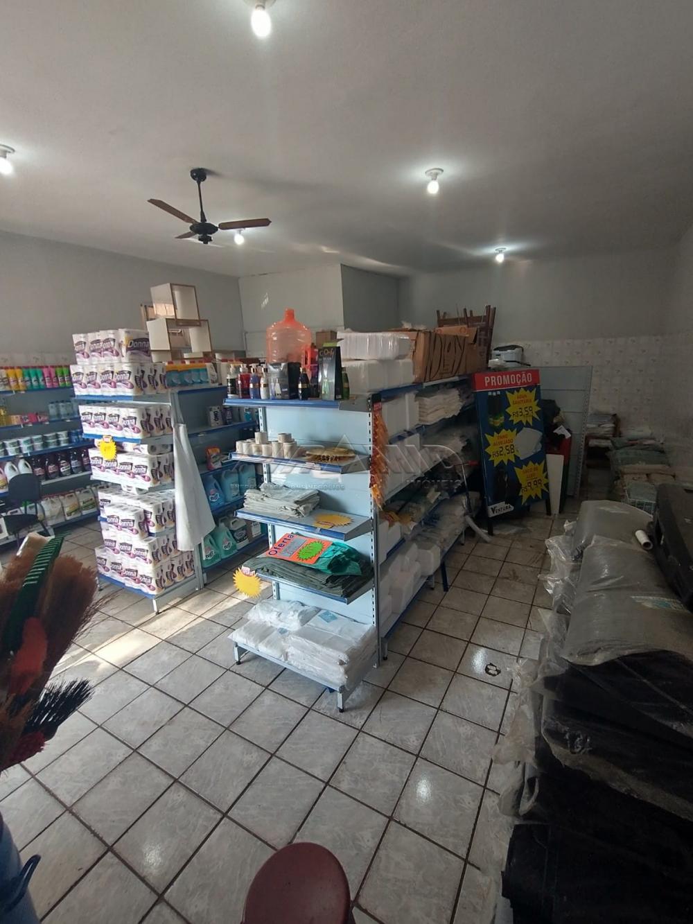 Alugar Comercial / Sal&atilde;o em Ribeir&atilde;o Preto R$ 1.100,00 - Foto 5