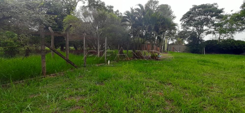 Comprar Rural / Ch&aacute;cara em Ribeir&atilde;o Preto R$ 980.000,00 - Foto 8