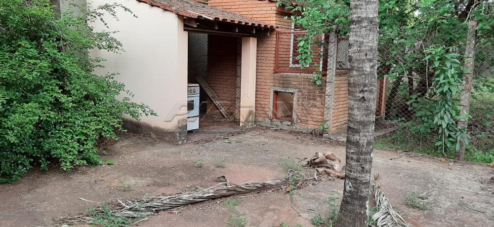 Comprar Rural / Ch&aacute;cara em Ribeir&atilde;o Preto R$ 980.000,00 - Foto 17