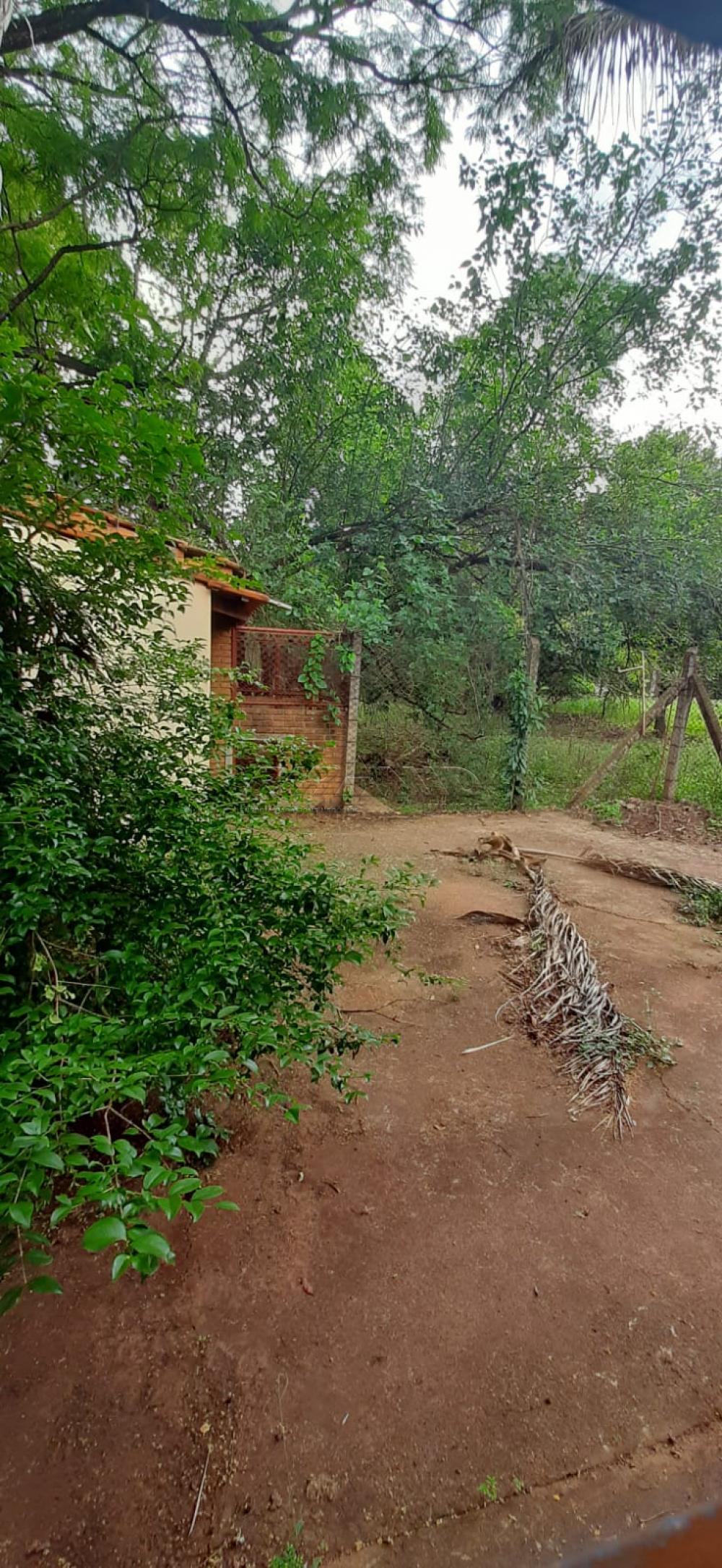 Comprar Rural / Ch&aacute;cara em Ribeir&atilde;o Preto R$ 980.000,00 - Foto 18
