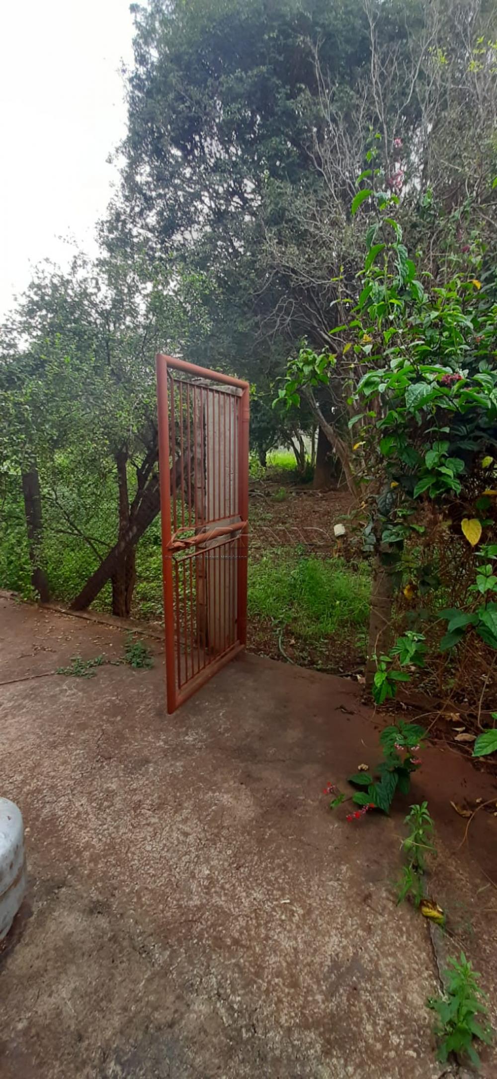 Comprar Rural / Ch&aacute;cara em Ribeir&atilde;o Preto R$ 980.000,00 - Foto 19