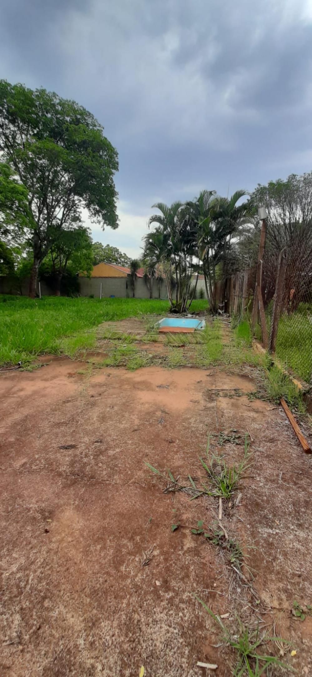 Comprar Rural / Ch&aacute;cara em Ribeir&atilde;o Preto R$ 980.000,00 - Foto 21