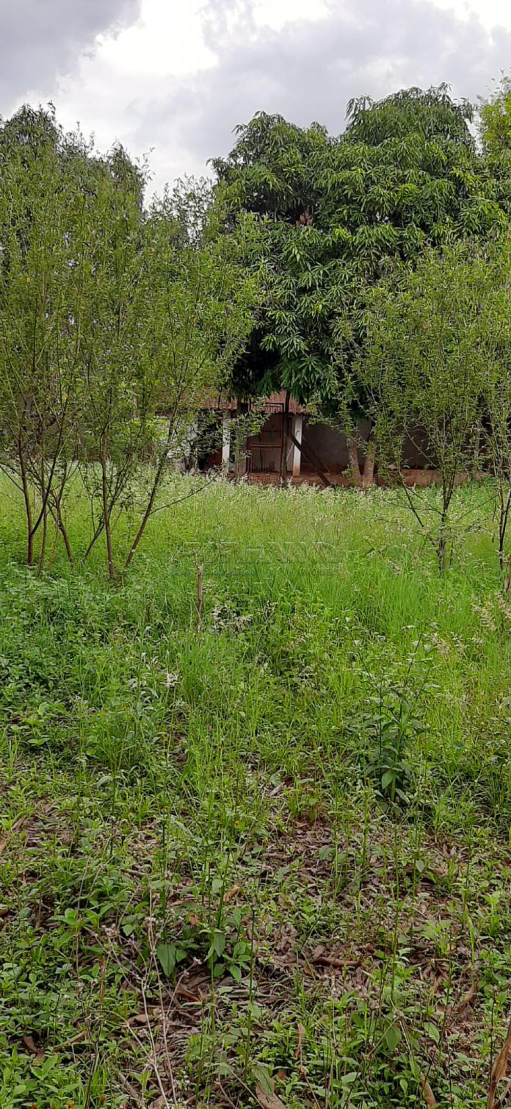 Comprar Rural / Ch&aacute;cara em Ribeir&atilde;o Preto R$ 980.000,00 - Foto 22