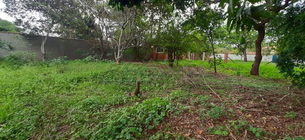 Comprar Rural / Ch&aacute;cara em Ribeir&atilde;o Preto R$ 980.000,00 - Foto 23