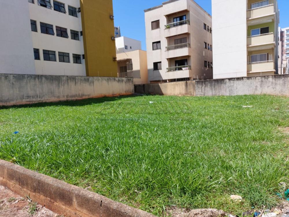 Ribeirão Preto Terreno Venda R$700.000,00  Area do terreno 500.00m2  - foto 1