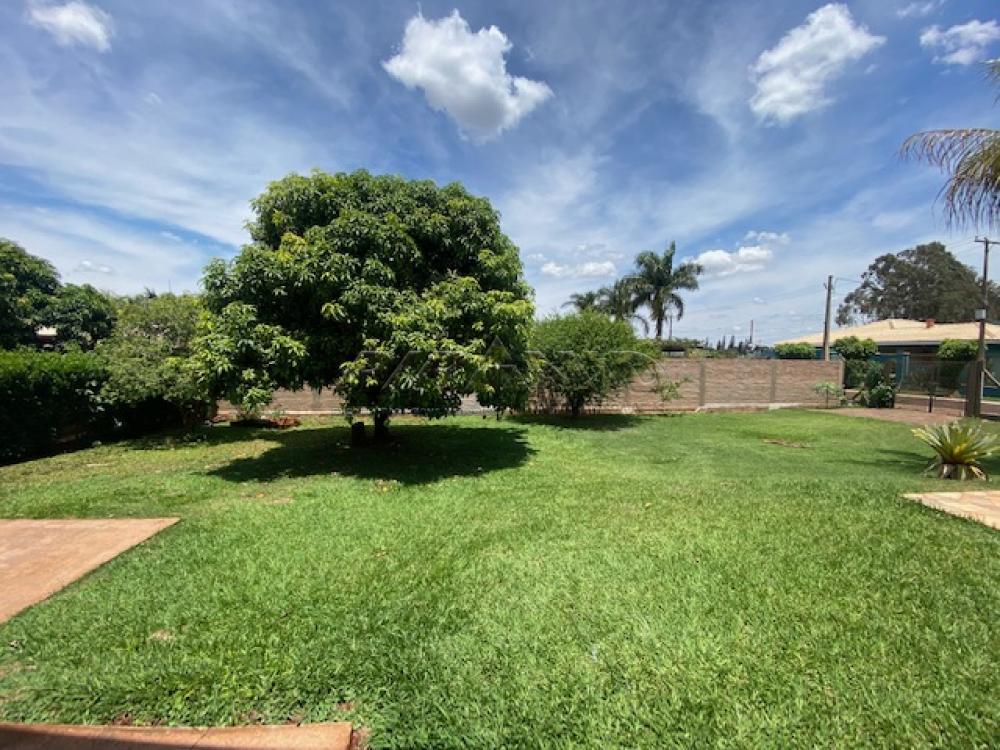Comprar Casa / Condom&iacute;nio em Jardin&oacute;polis R$ 1.250.000,00 - Foto 28