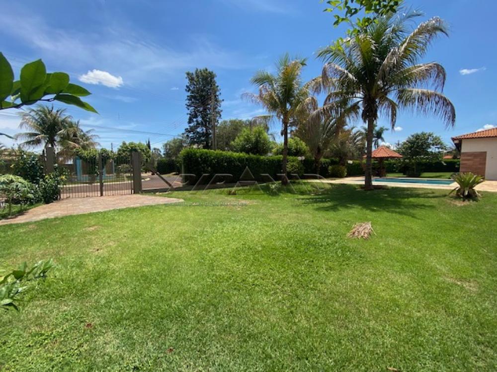 Comprar Casa / Condom&iacute;nio em Jardin&oacute;polis R$ 1.250.000,00 - Foto 30