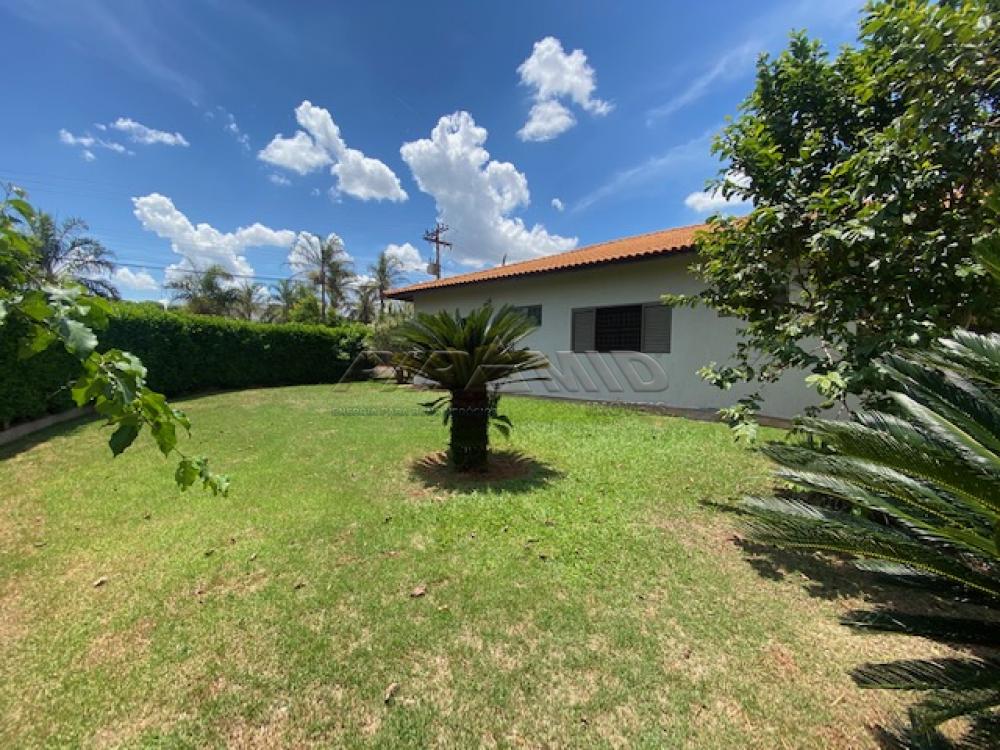 Comprar Casa / Condom&iacute;nio em Jardin&oacute;polis R$ 1.250.000,00 - Foto 37