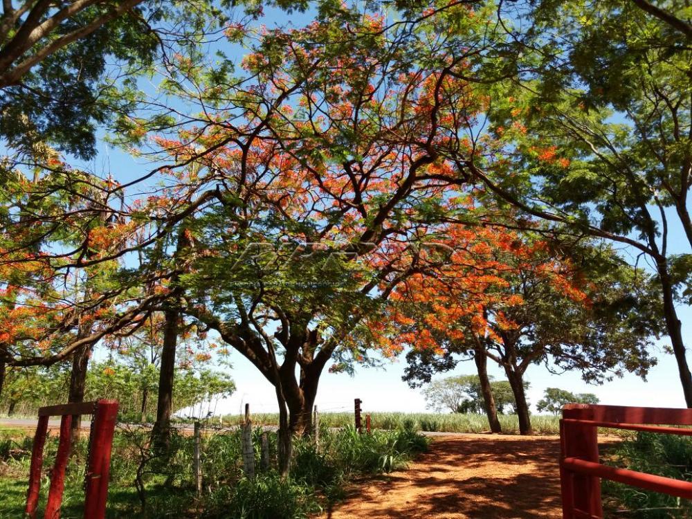 Comprar Rural / S&iacute;tio em Orindi&uacute;va R$ 8.500.000,00 - Foto 1