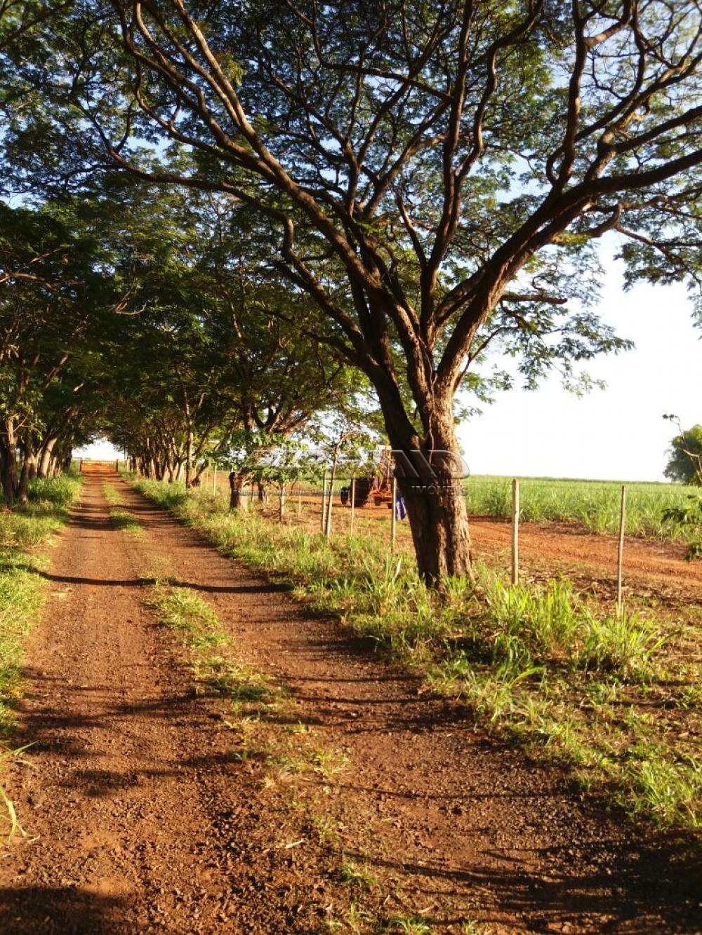 Comprar Rural / S&iacute;tio em Orindi&uacute;va R$ 8.500.000,00 - Foto 2