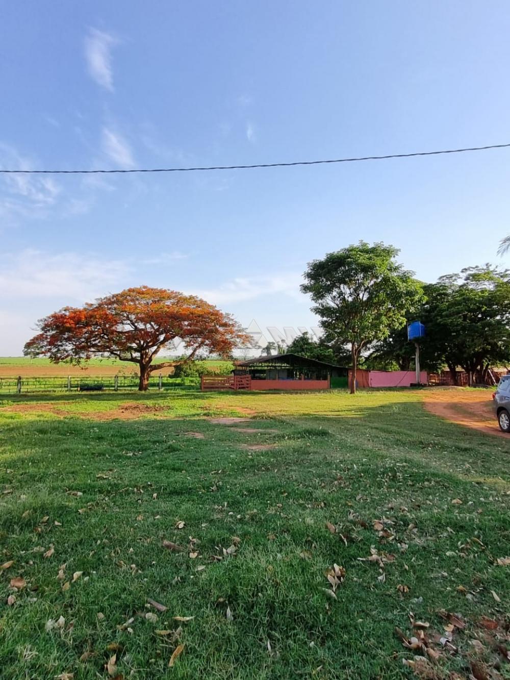 Comprar Rural / S&iacute;tio em Orindi&uacute;va R$ 8.500.000,00 - Foto 3