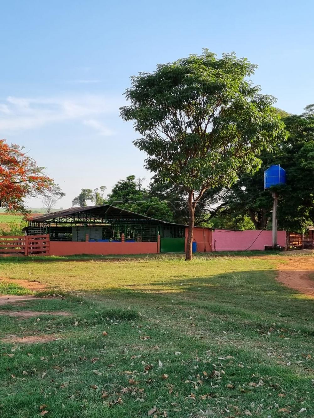 Comprar Rural / S&iacute;tio em Orindi&uacute;va R$ 8.500.000,00 - Foto 5