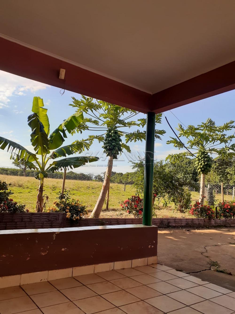 Comprar Rural / S&iacute;tio em Orindi&uacute;va R$ 8.500.000,00 - Foto 6
