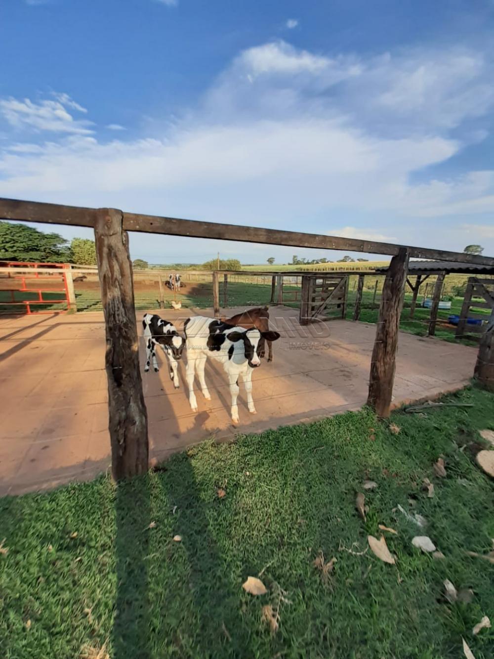 Comprar Rural / S&iacute;tio em Orindi&uacute;va R$ 8.500.000,00 - Foto 16