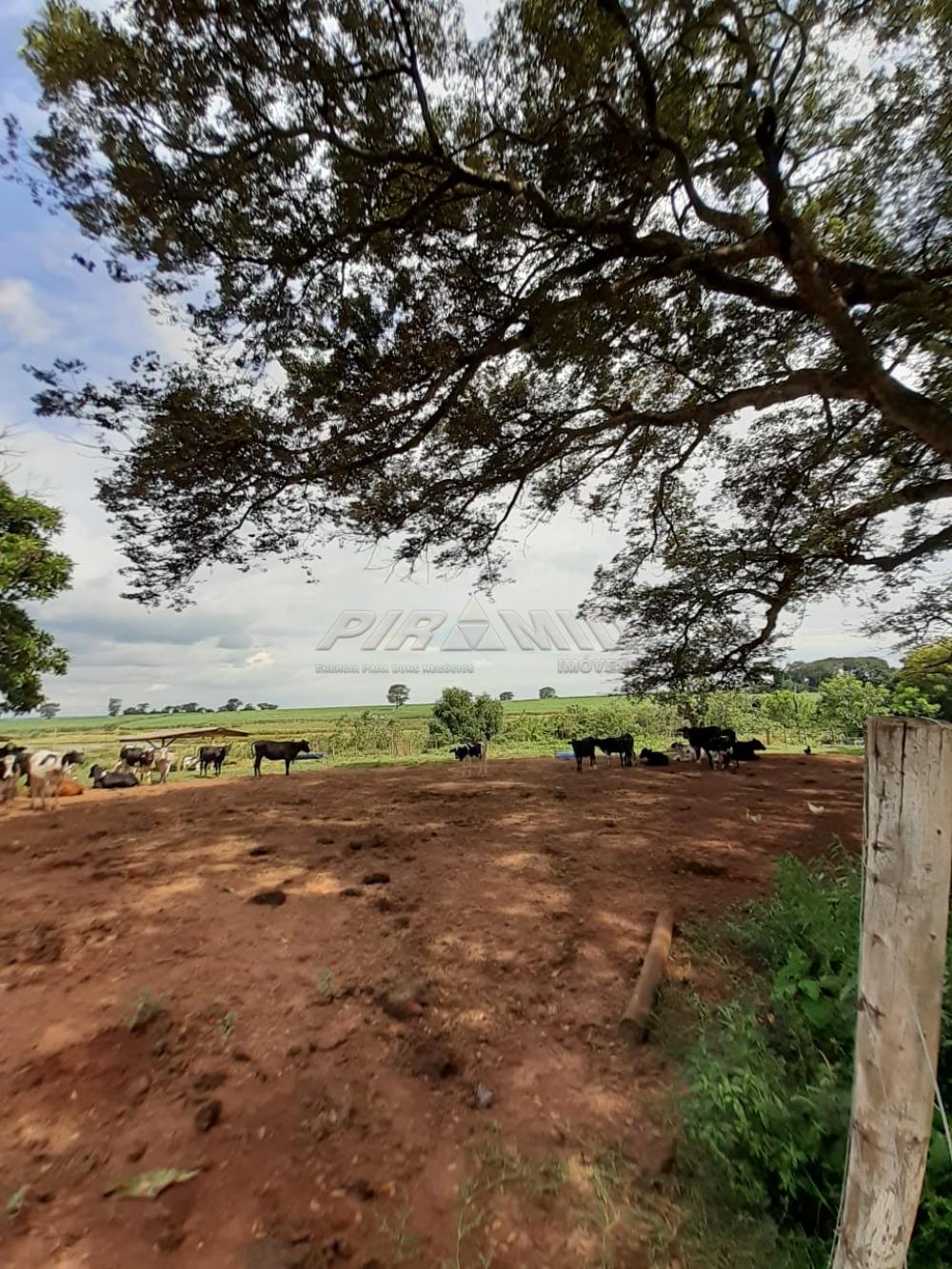 Comprar Rural / S&iacute;tio em Orindi&uacute;va R$ 8.500.000,00 - Foto 21