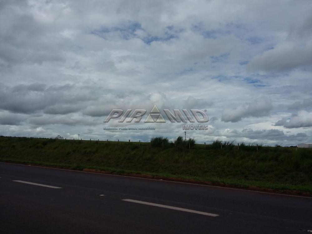 Comprar Terreno / &Aacute;rea em Ribeir&atilde;o Preto R$ 50.820.000,00 - Foto 7
