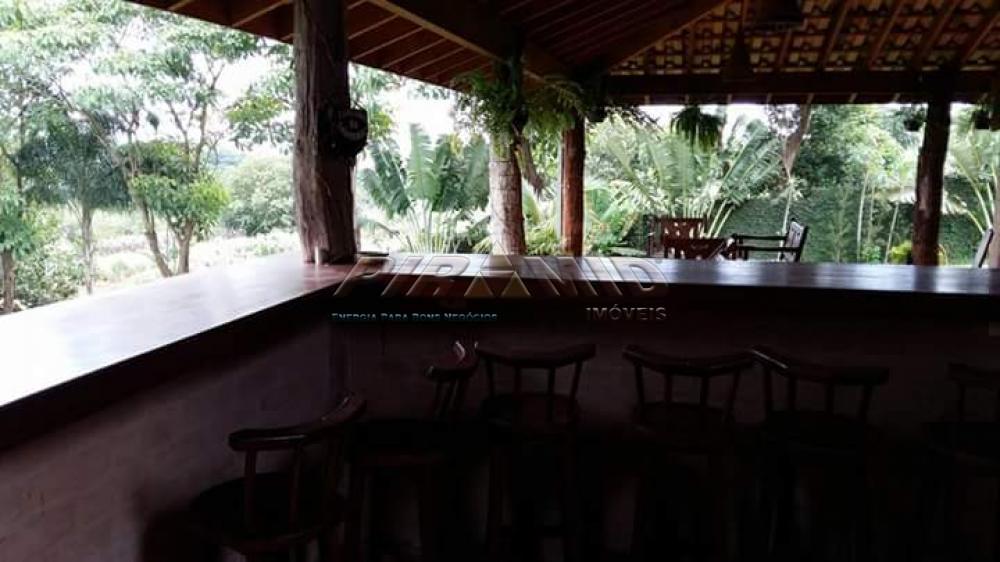 Alugar Casa / Padr&atilde;o em Jardin&oacute;polis R$ 3.500,00 - Foto 9