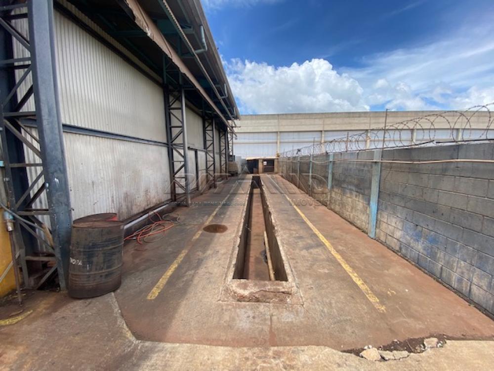 Alugar Comercial / Galp&atilde;o  Barrac&atilde;o em Ribeir&atilde;o Preto R$ 35.000,00 - Foto 3