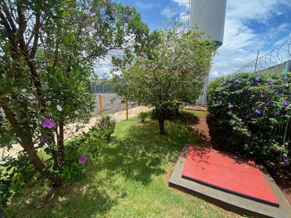 Alugar Comercial / Galp&atilde;o  Barrac&atilde;o em Ribeir&atilde;o Preto R$ 35.000,00 - Foto 23