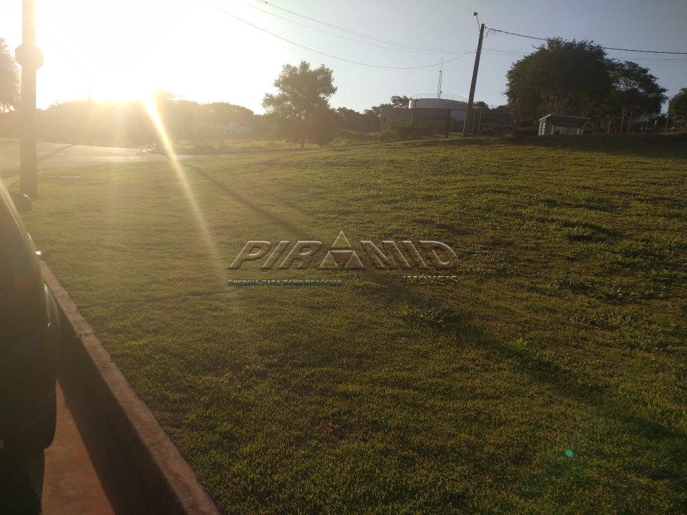 Alugar Terreno / Terreno em Ribeir&atilde;o Preto R$ 16.800,00 - Foto 1