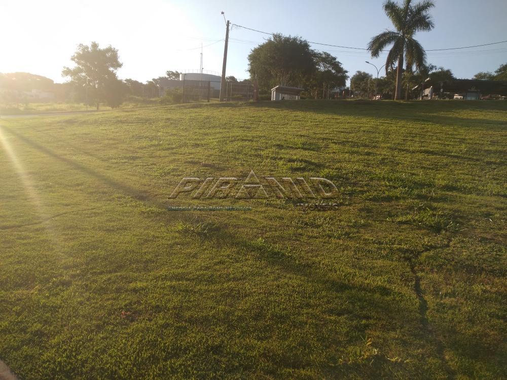 Alugar Terreno / Terreno em Ribeir&atilde;o Preto R$ 16.800,00 - Foto 2