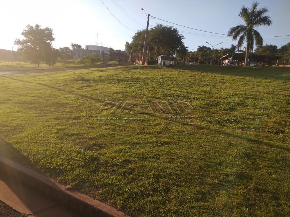Alugar Terreno / Terreno em Ribeir&atilde;o Preto R$ 16.800,00 - Foto 4