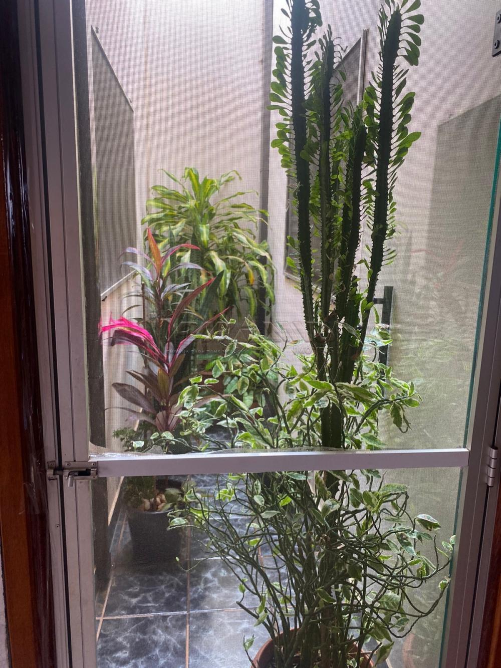 Comprar Casa / Padr&atilde;o em Ribeir&atilde;o Preto R$ 350.000,00 - Foto 4