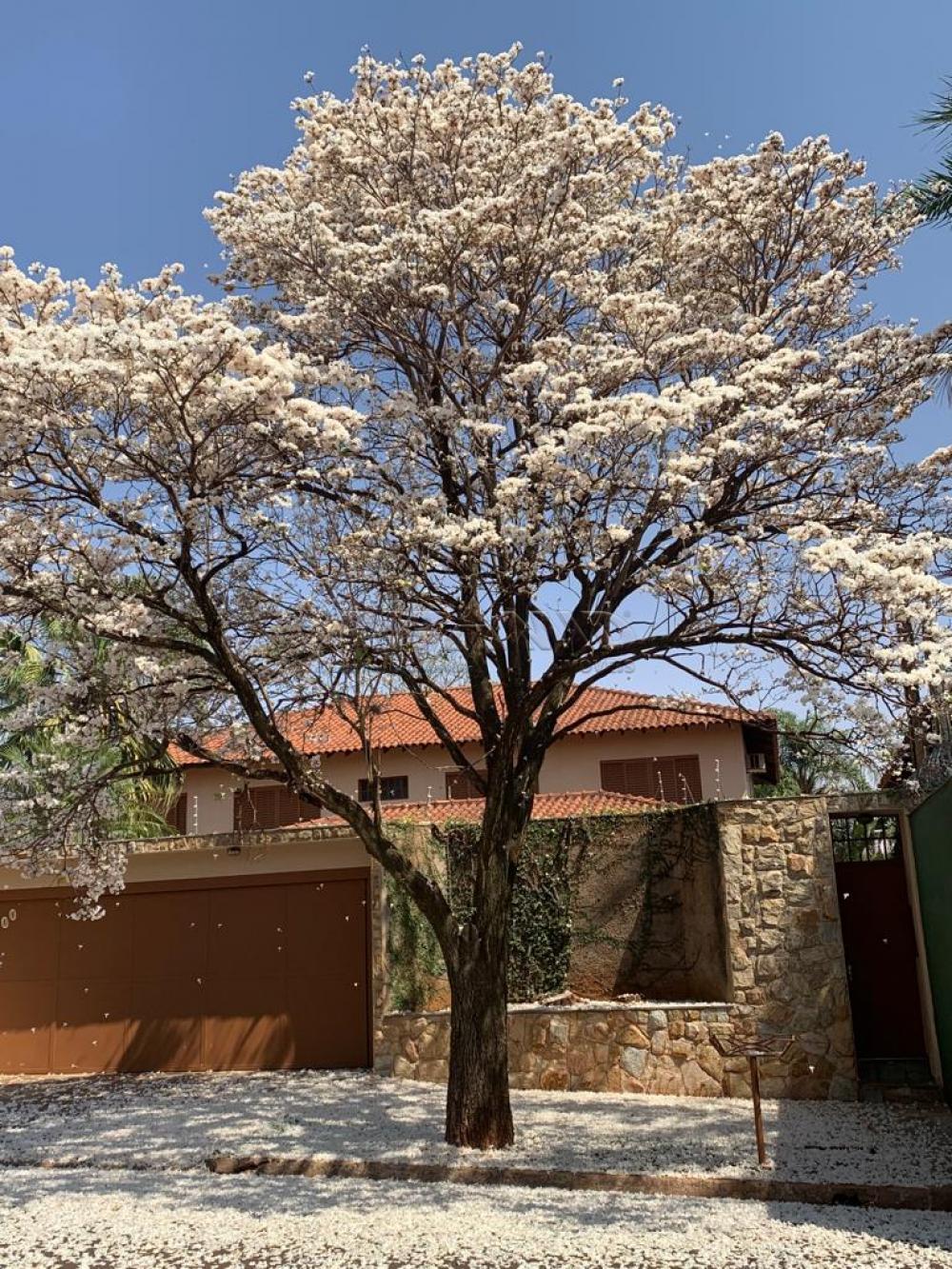 Comprar Casa / Padr&atilde;o em Ribeir&atilde;o Preto R$ 3.200.000,00 - Foto 1