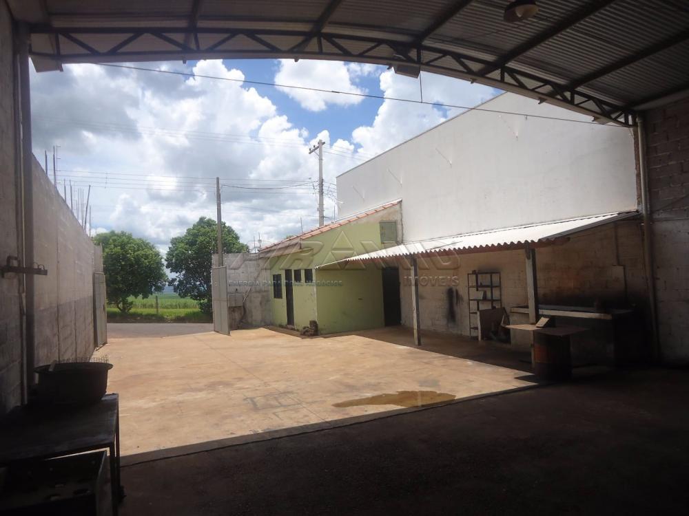 Comprar Comercial / Galp&atilde;o  Barrac&atilde;o em Cravinhos R$ 424.000,00 - Foto 4
