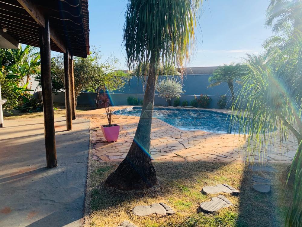 Alugar Casa / Condom&iacute;nio em Jardin&oacute;polis R$ 3.600,00 - Foto 27